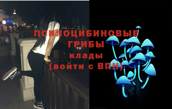 ГАЛЛЮЦИНОГЕННЫЕ ГРИБЫ Балабаново