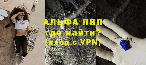 ГАЛЛЮЦИНОГЕННЫЕ ГРИБЫ Балабаново