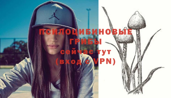 ГАЛЛЮЦИНОГЕННЫЕ ГРИБЫ Балабаново