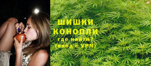 ГАЛЛЮЦИНОГЕННЫЕ ГРИБЫ Балабаново